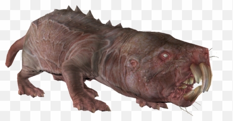 Mole Rat Fallout 4 - The Vault Fallout Wiki Everything Fallout 4 Rat Png,Rats Png