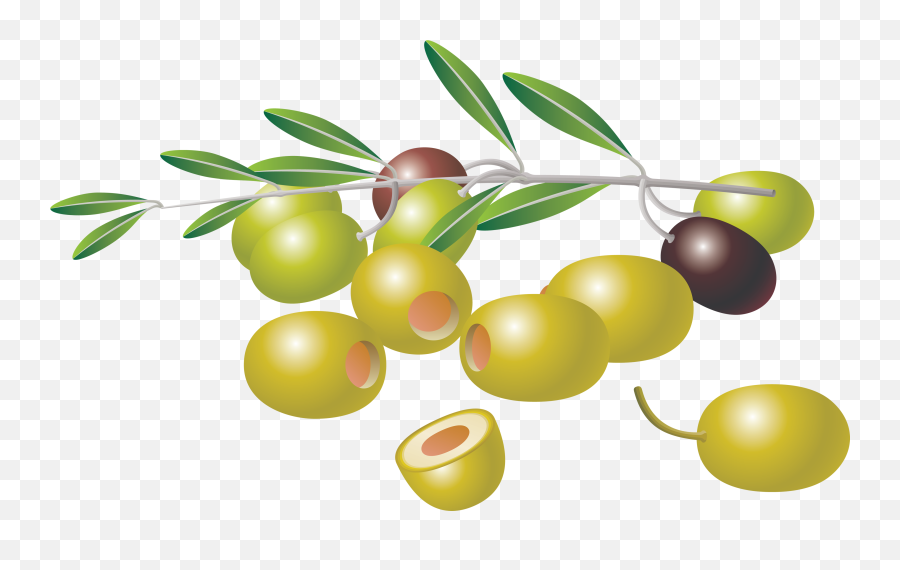 White Download Olives Png Files - Free Vector Olive,Olive Png