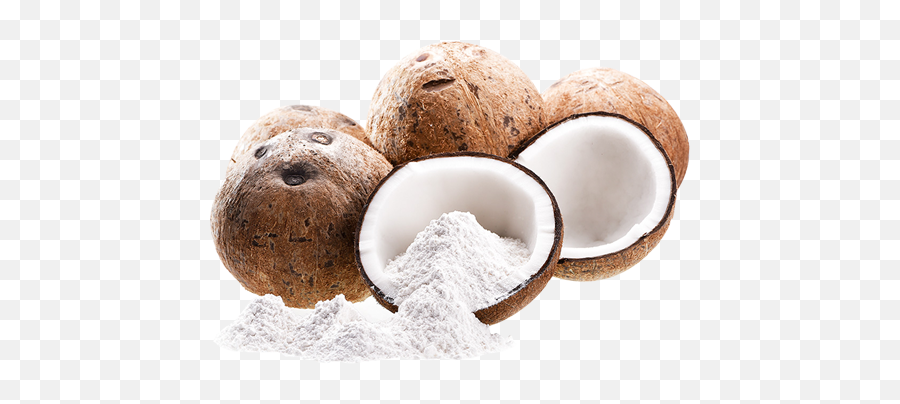 Organic Coconut Flour U2013 Coco - Coconut Flour Png,Flour Png
