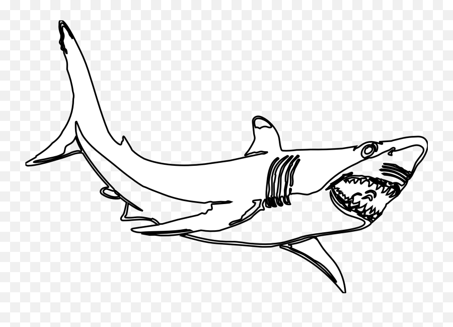 Shark Teeth Png - Hammerhead Shark Template Free Download Clipart Black And White Shark,Shark Silhouette Png