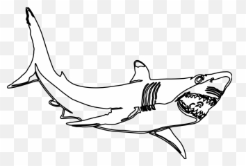 Shark Teeth Png - Hammerhead Shark Template Free Download Clipart Black And White