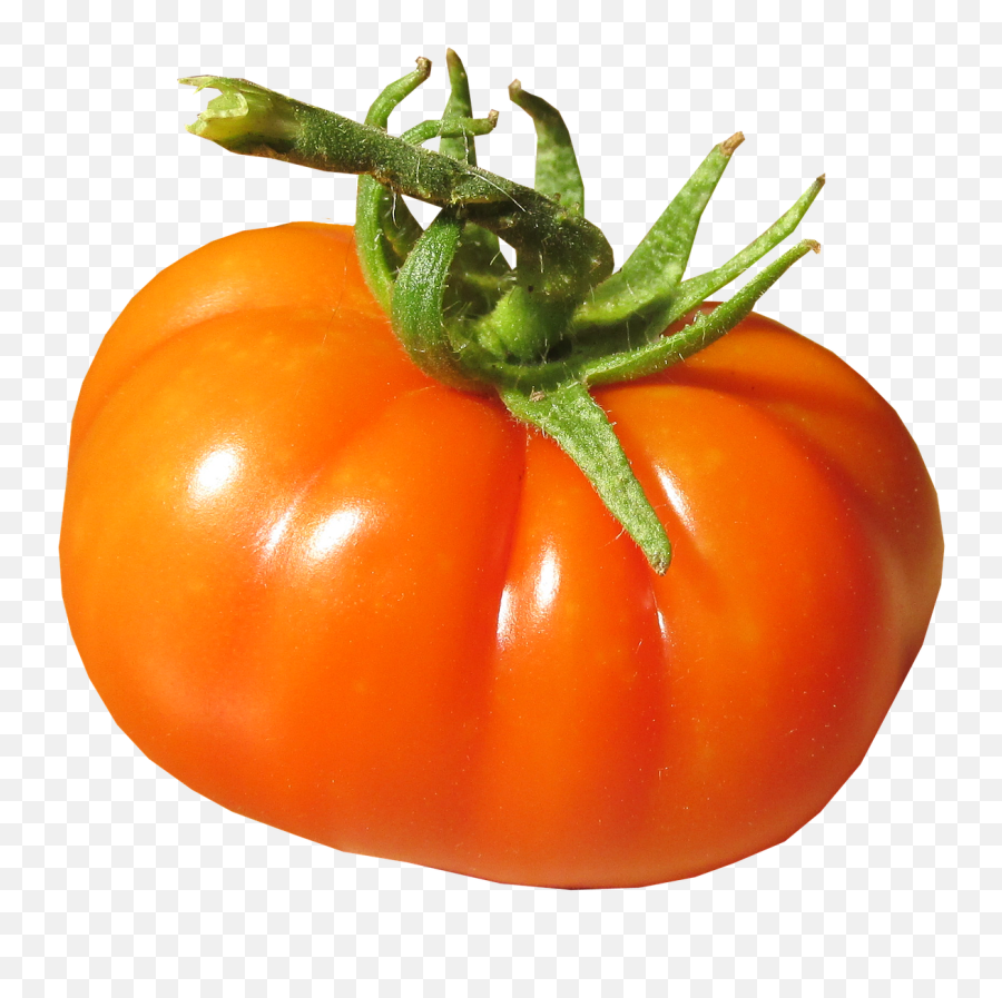 Tomatoorganicfreshripeharvest - Free Image From Needpixcom Plum Tomato Png,Tomato Slice Png