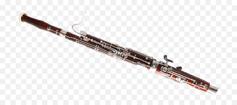Infinite Woodwinds - Western Concert Flute Png,Bassoon Png