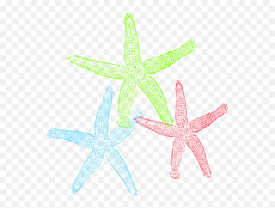 Download Hd Yellow Clipart Sea Star - Free Starfish Clip Art 2 Starfish Clipart Png,Sea Star Png