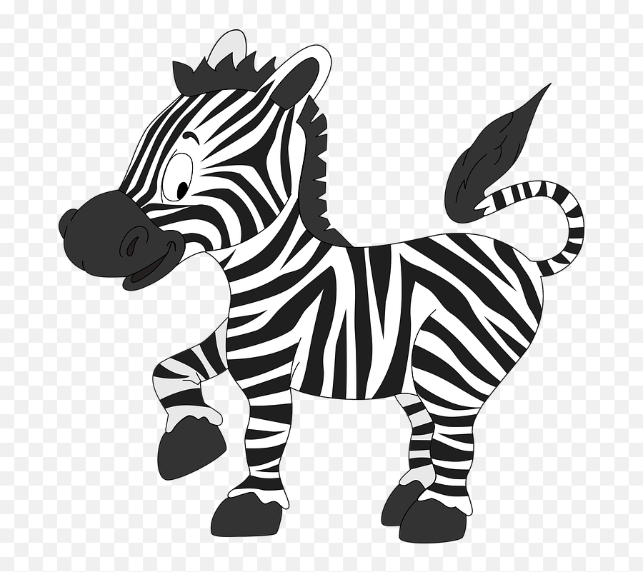 Zebra Animals Cute - Free Vector Graphic On Pixabay Black And White Zebra Png,Zebra Transparent Background