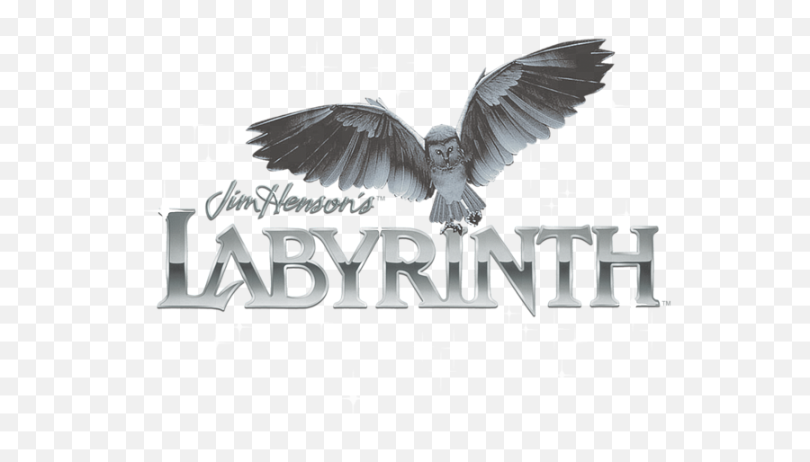 Labyrinth - Owl Logo Tshirt Accipitridae Png,Owl Logo