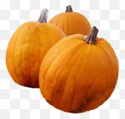 Download Thanksgiving Pumpkins - Png