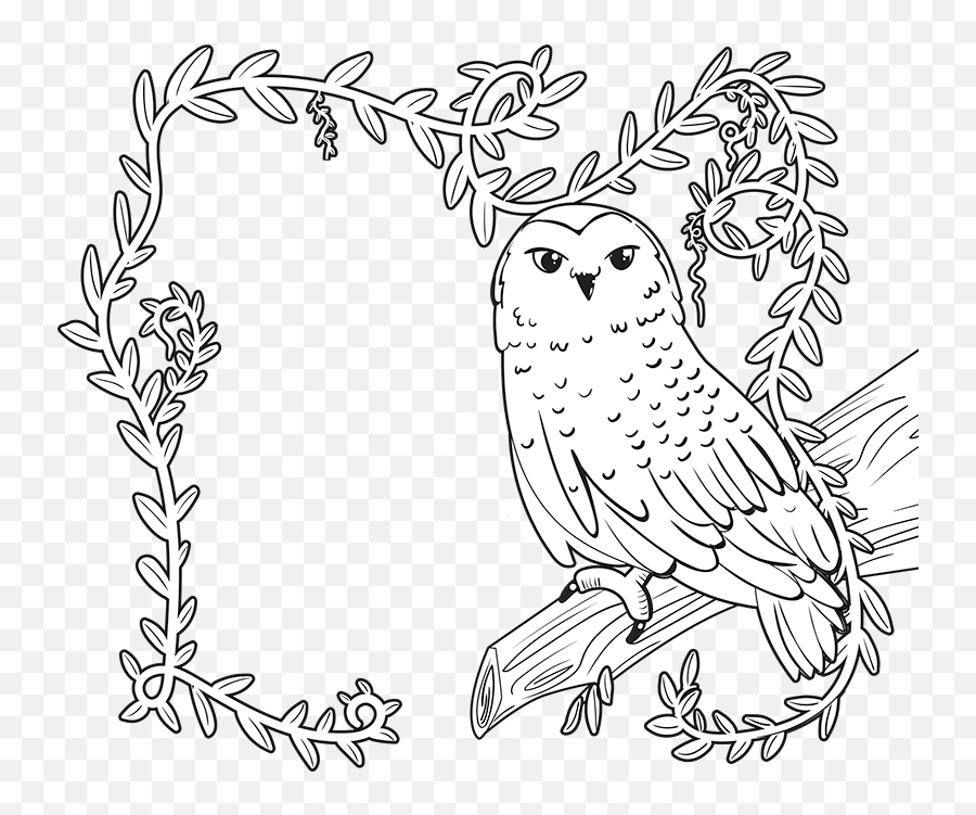 Scholastic Book Fair Coloring Pages Canada - Enchanted Forest Book Fair Coloring Page Png,Book Pages Png
