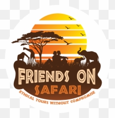 10 Days Kenya Safari U2013 Friends - Safari Tours Logo Png,Safari Logo