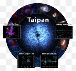 Research - Taipan Survey Png,Png Taipan