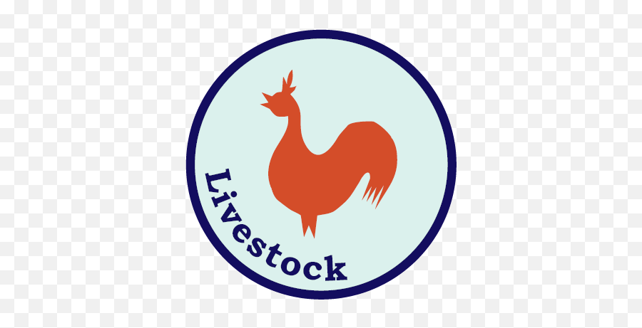 Livestock Certification - Rooster Png,Certified Png