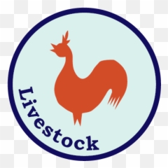Livestock Certification - Rooster Png,Certified Png