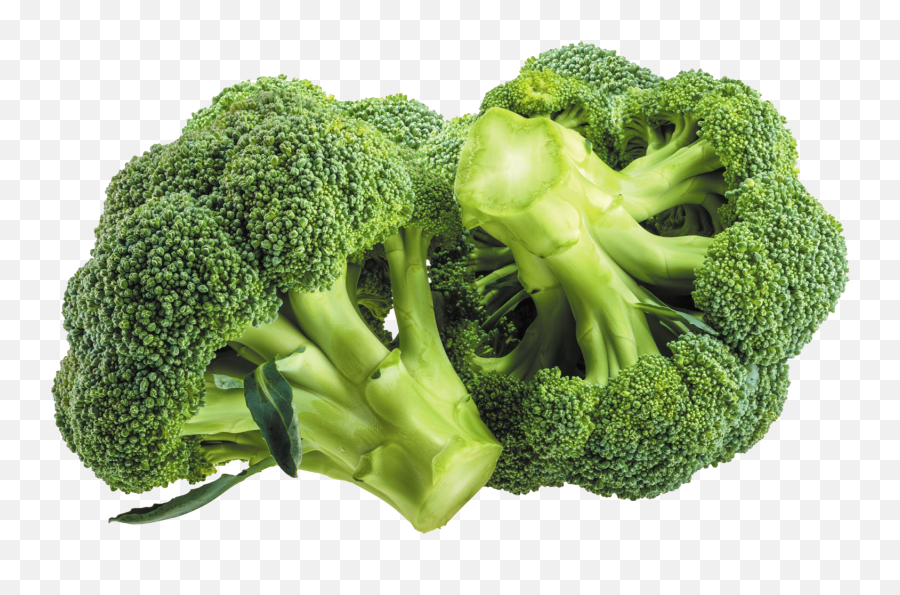Green Broccoli Transparent Images Png - Broccoli Vegetable,Broccoli Png