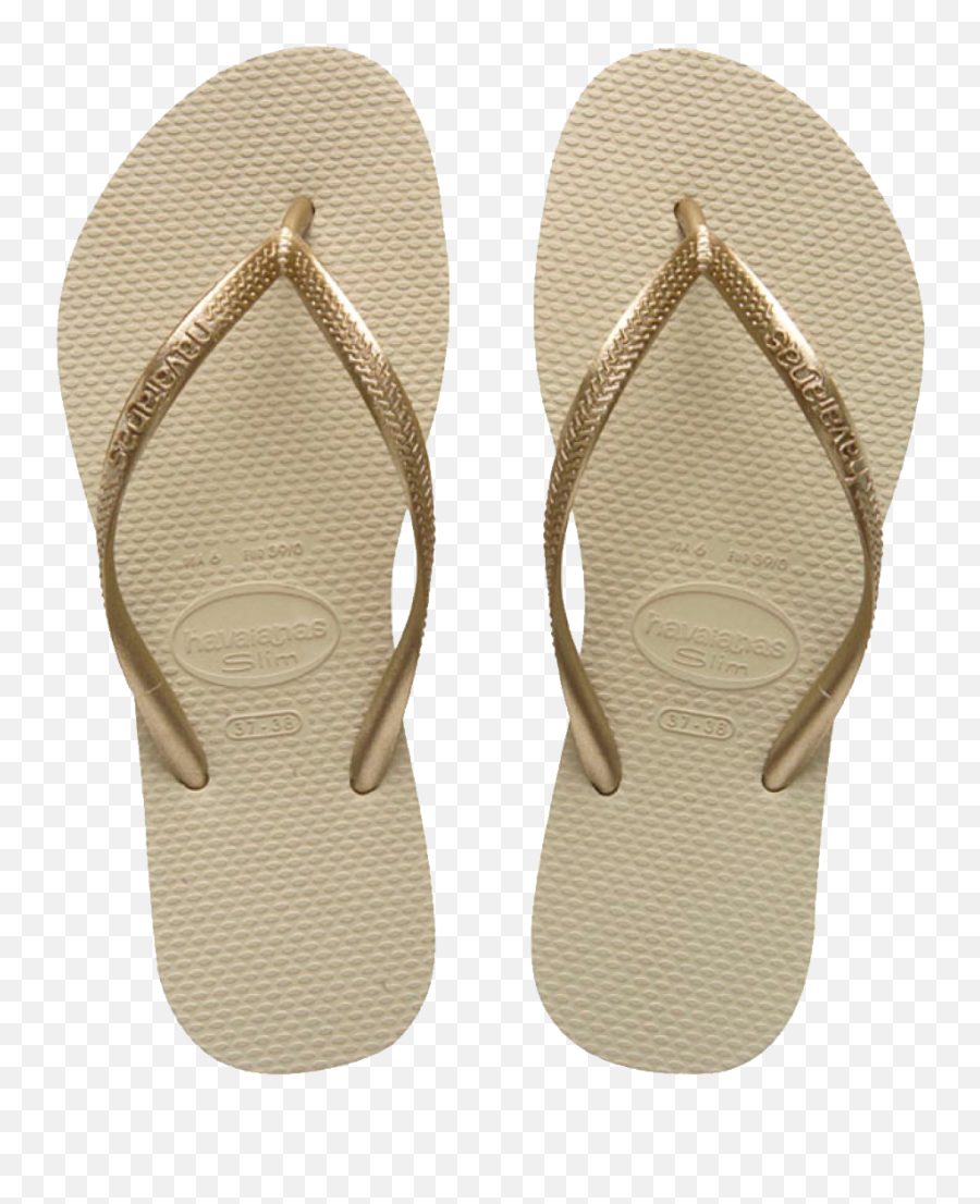 Flip Png Flops Transparent Background