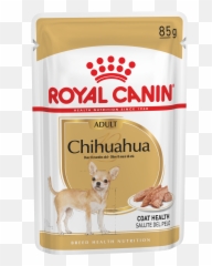 Chihuahua Puppy Dry - Royal Canin Yorkshire Terrier Wet Food Png,Chihuahua Png