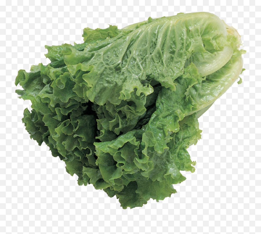 Salad Png Image - Leafy Vegetables Transparent Background,Salad Png