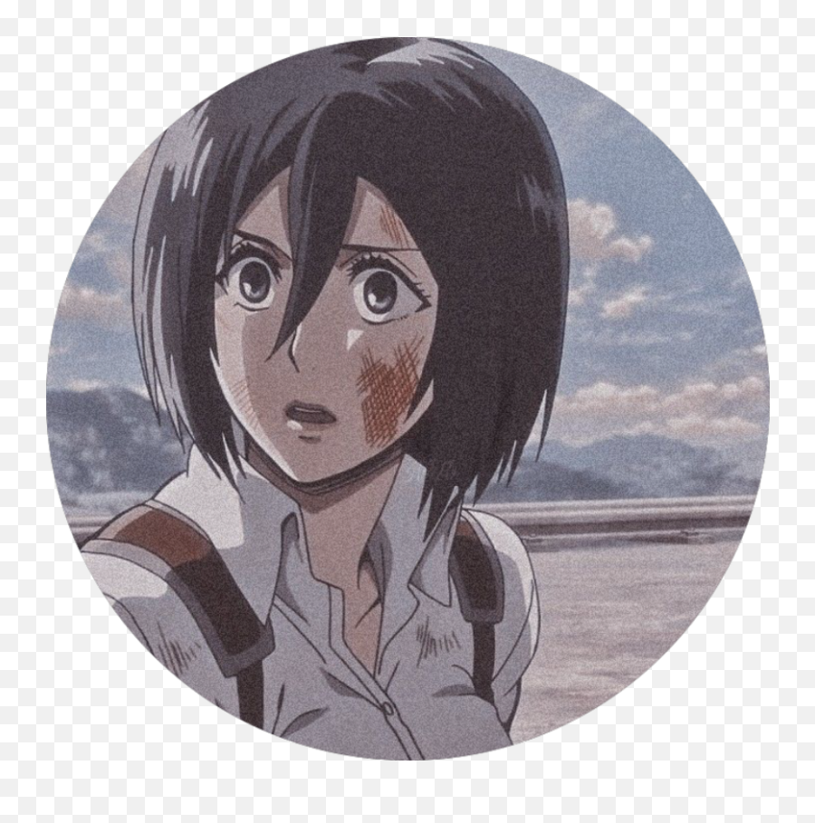 Pin Oleh Di Snk - Fine Arts Png,Mikasa Icon