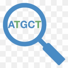 Biocomputing Synergy Lab - Magnifier png