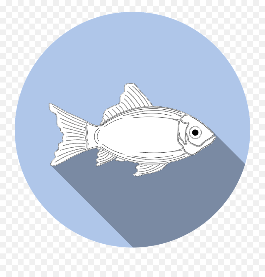 Allergy Food No - Kind Of Fish Is Made Of 2 Sodium Atoms Png,Fish Logo Png