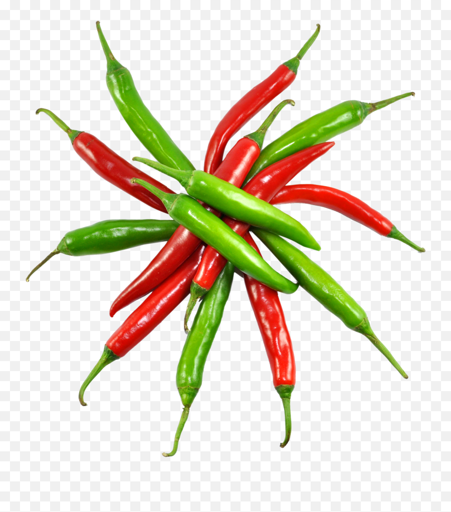 Red And Green Chilli Png Image - Pngpix Red Chilli Green Chilli,Green Pepper Png