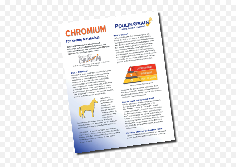 Chromium For Healthy Metabolism - Horizontal Png,Pancreas Icon