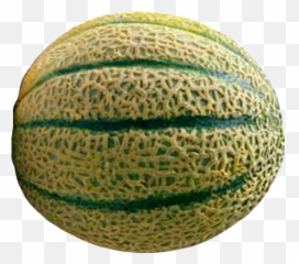Gisoft Free Png Images - Gratuit Images Png De Fruits Sur Honeydew,Cantaloupe Png