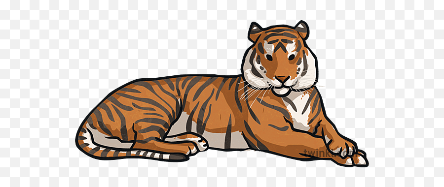Tiger Animals Chinese New Year Zodiac Assembly Topics Ks2 - Bengal Tiger Png,App Icon Chinese New Year