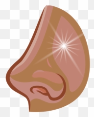 Acusine Nasal Spray - Illustration png