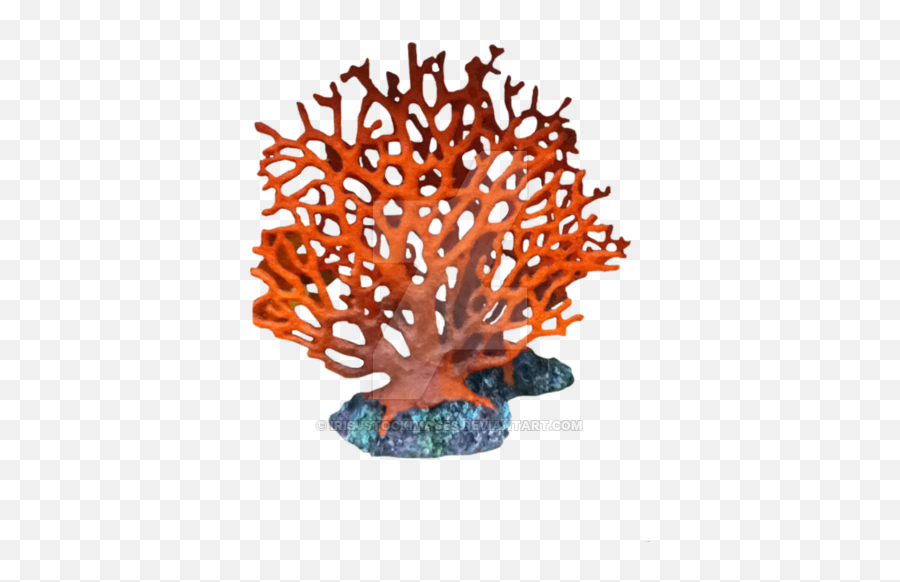 Sea Coral Png 1 Image - Transparent Background Coral Reef Png,Coral Png