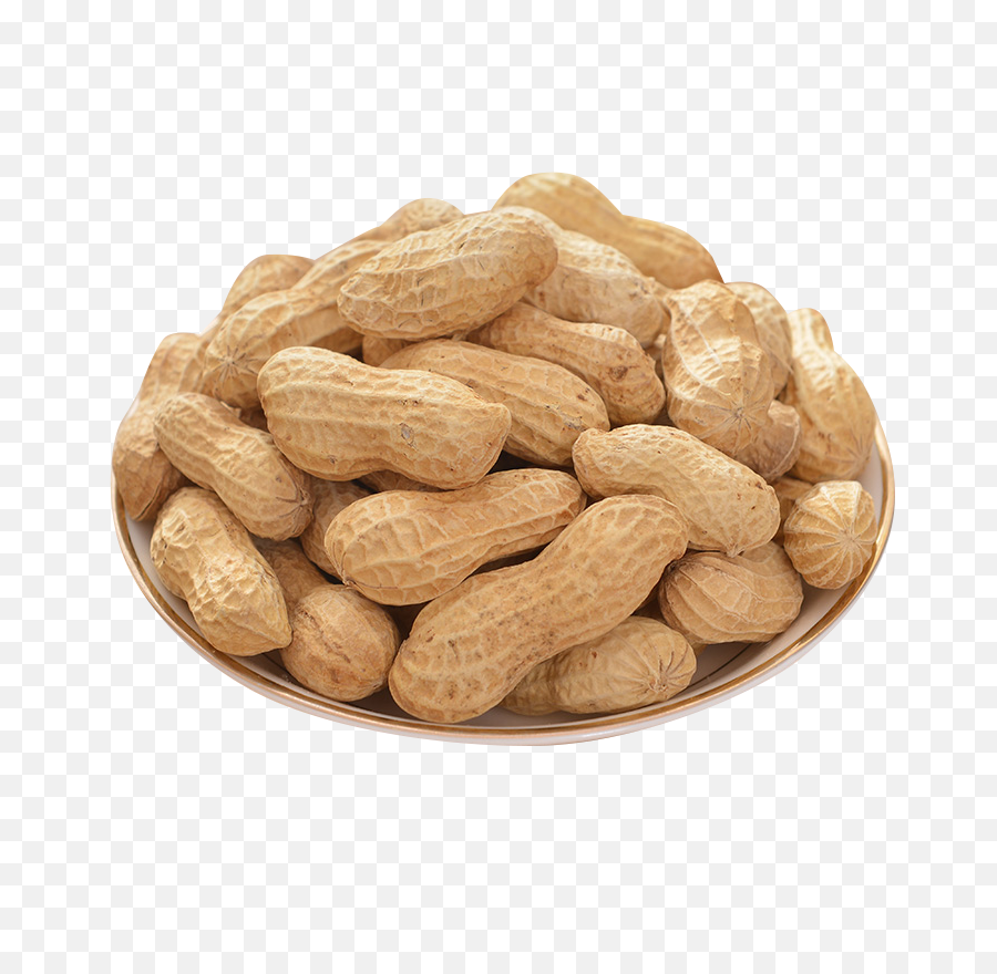 Peanuts Transparent Groundnut - Peanuts Png,Peanut Transparent