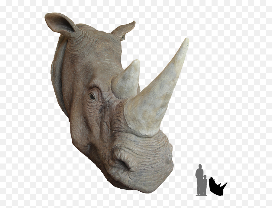 Rhino Head Png 8 Image - Rhino The Animal Head,Animal Head Png