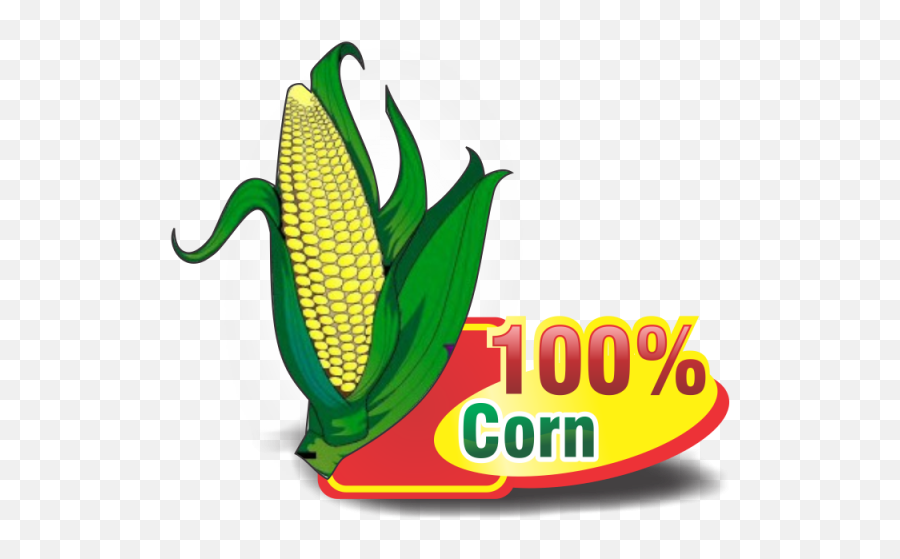 Download Cartoon Corn Png Vectors Psd - Sweet Corn Logo Png,Corn Clipart Png