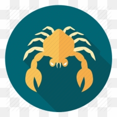 U0027zodiac And Astrology Signsu0027 By Iconmonk - Illustration png