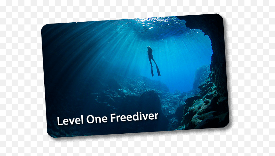Level 1 Freediver - The Dive Source Png,Water Level Icon