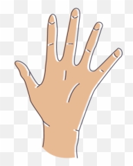 Transparent Png Svg Vector File - Hand Open Png Vector,Fingers Png
