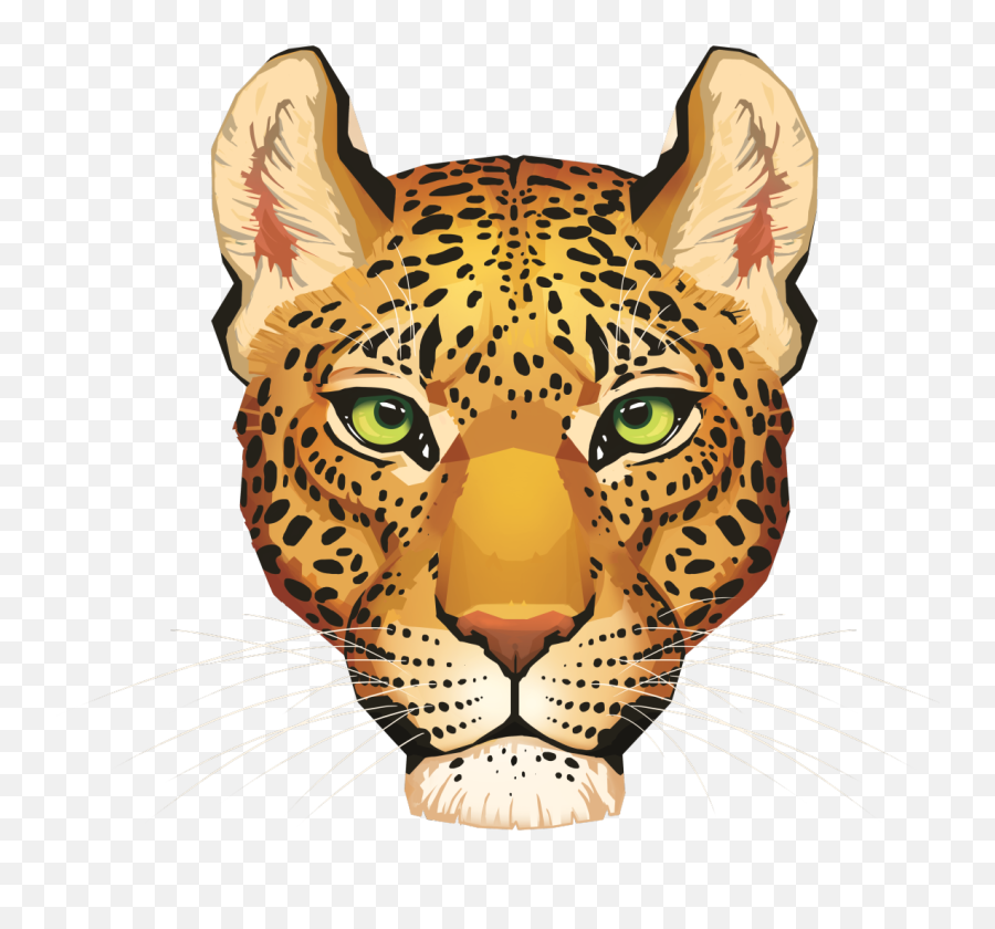 Leopard Png Images Face - Museum Tsunami Aceh,Tiger Head Png