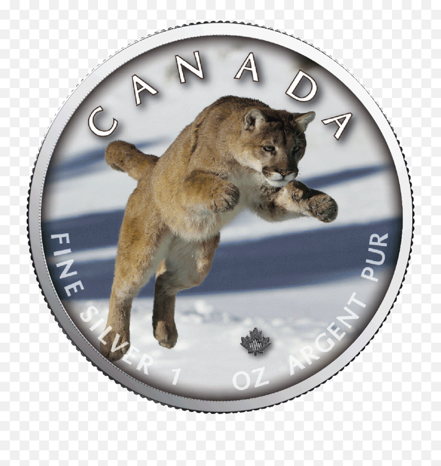 5 Trails Of Wildlife Cougar 1 Oz Silver Emkcom - Silver Coin Png,Cougar Png