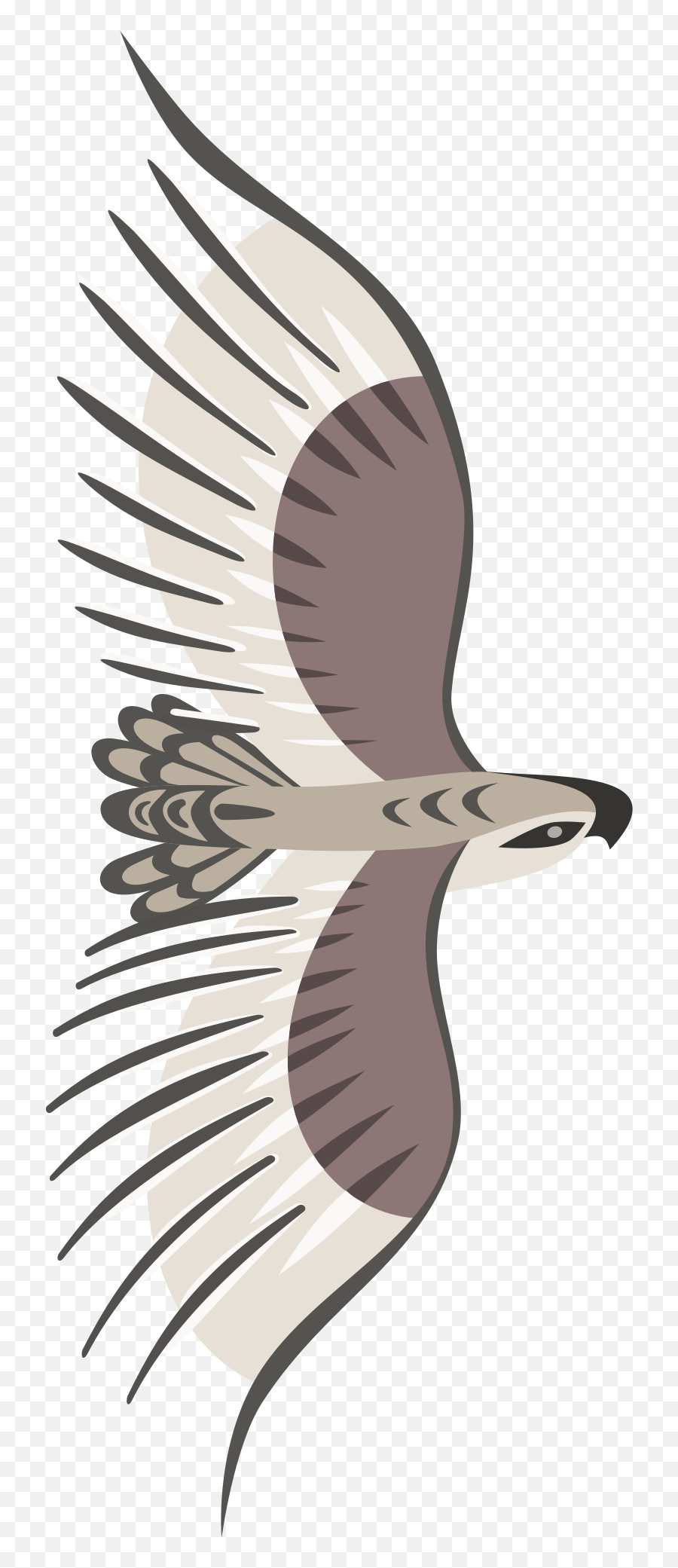 Golden Eagle Png Clip Arts For Web - Clip Arts Free Png Flying Bird Top View Png,Golden Eagle Png
