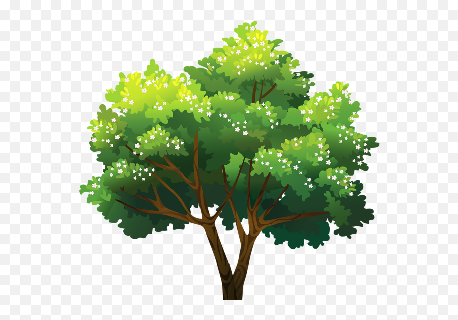 Tree Png - Tree Png,Maple Tree Png