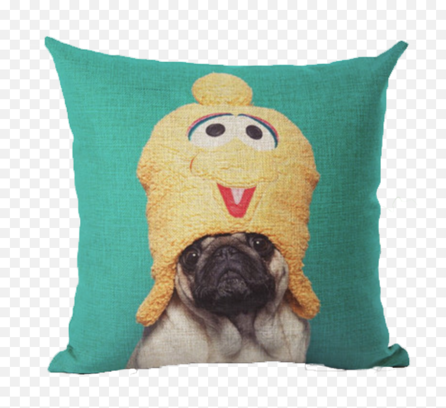 Download Chicken Head Pug Pillow - Almohadas Pug Png Image Pillow,Chicken Head Png