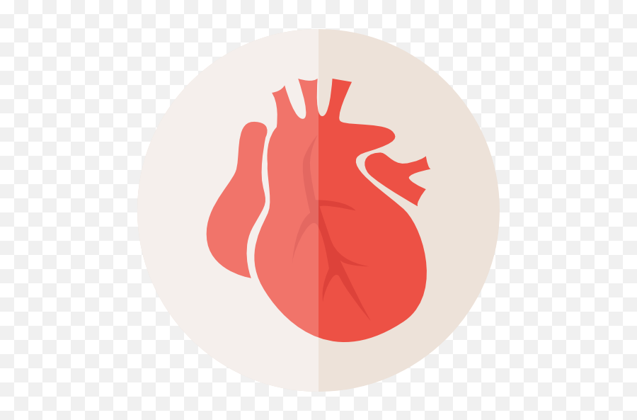 Heart Healthcare And Medical Organ - Heart Png,Heart Organ Png