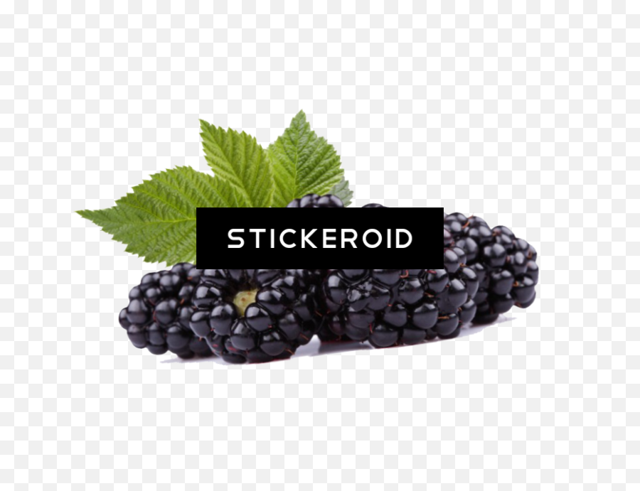 Black Raspberries Hd - Russells Black Raspberry Pecan Ice Black Raspberry Png,Raspberries Png