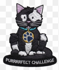Purrrrfect Challenge - Cartoon png