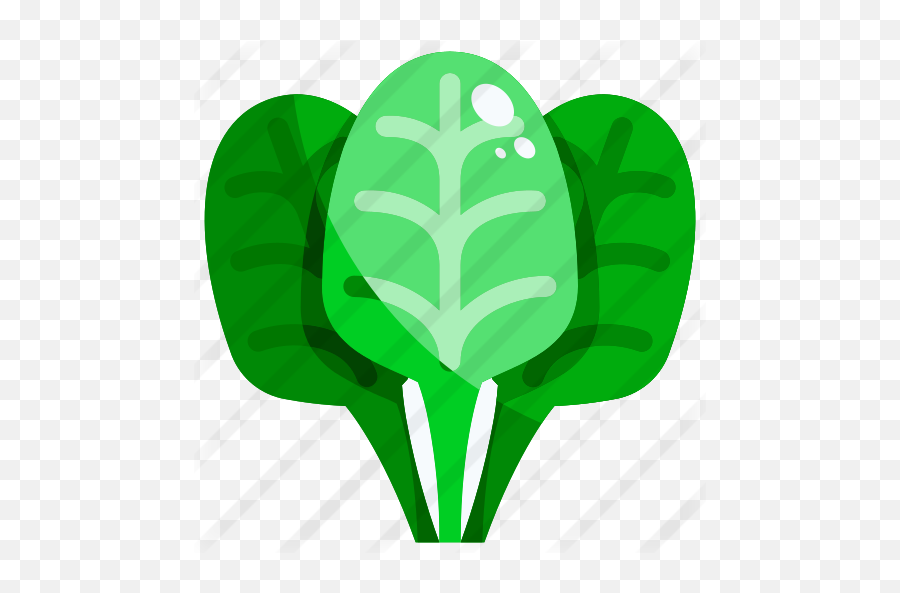 Spinach - Spinach Icon Png,Spinach Png