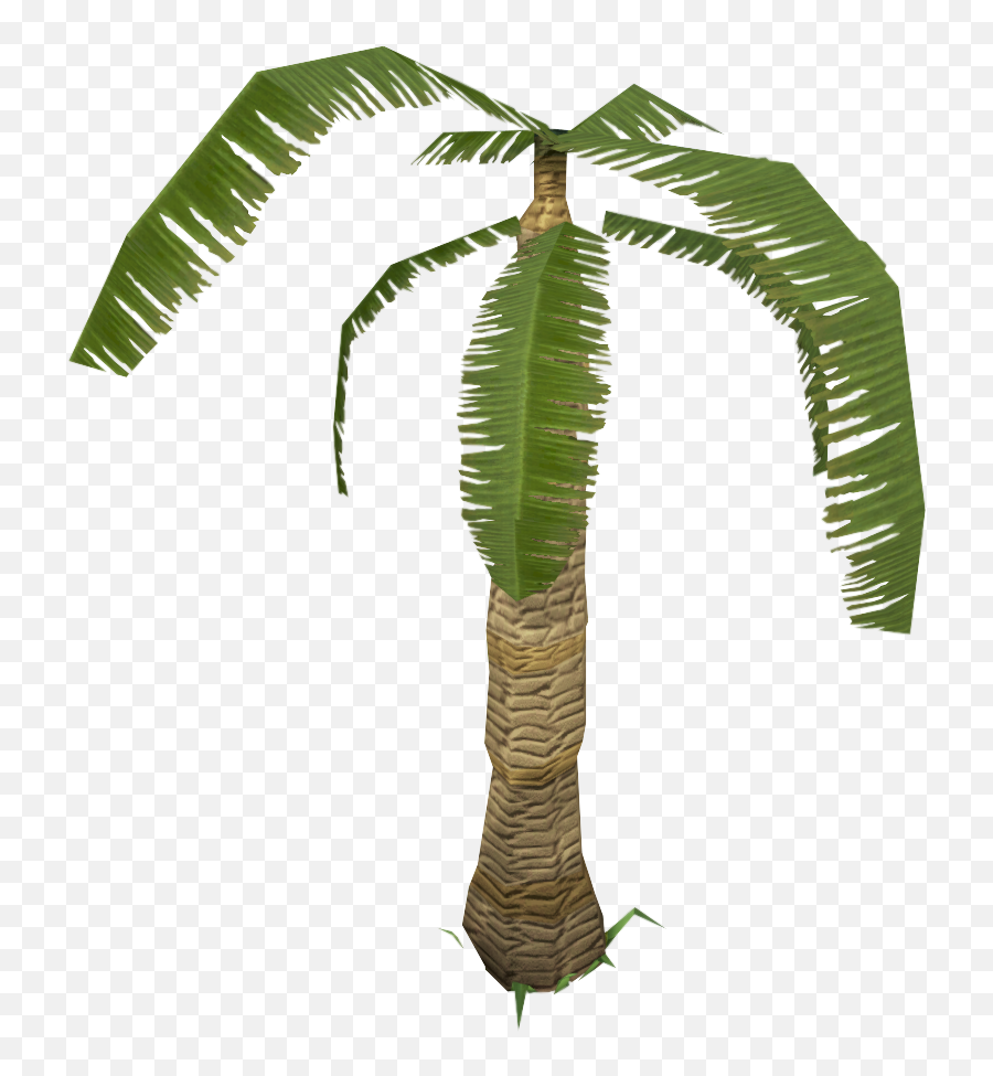 Leafy Palm Tree - Roystonea Png,Palms Png
