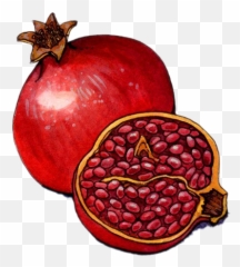Pomegranate Png Photos - Seedless Fruit,Pomegranate Png
