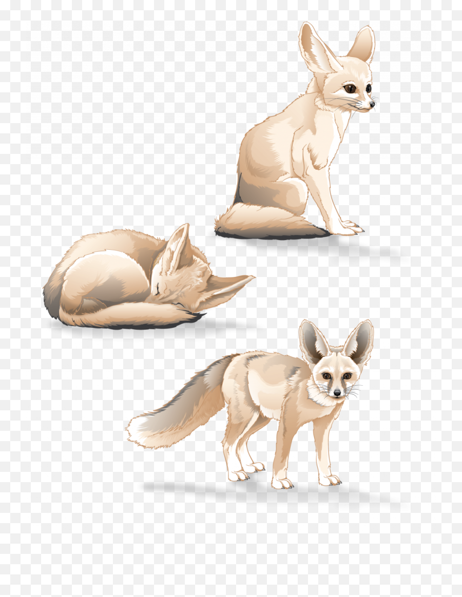 Fennec Foxes - Fennec Fox Png,Fennec Fox Png