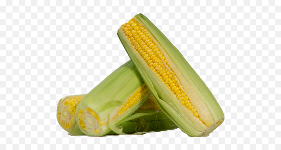 Corn Cob Online Order - Home Delivery Melbourne Png,Corn On The Cob Png