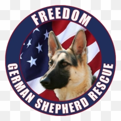 Freedom German Shepherd Rescue Fundraiser U2014 Pearls For Pups Co - German Shepherd Rescue Logo Png,German Shepherd Png