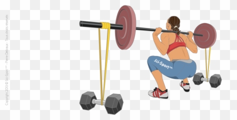 Download Squat With Elastic Bands - Active Png,Squat Png